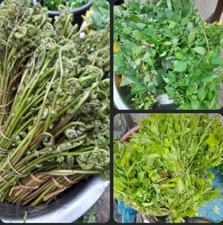 UGEP NATIVE VEGETABLE: ONE SOUP, MANY FLAVOURS.