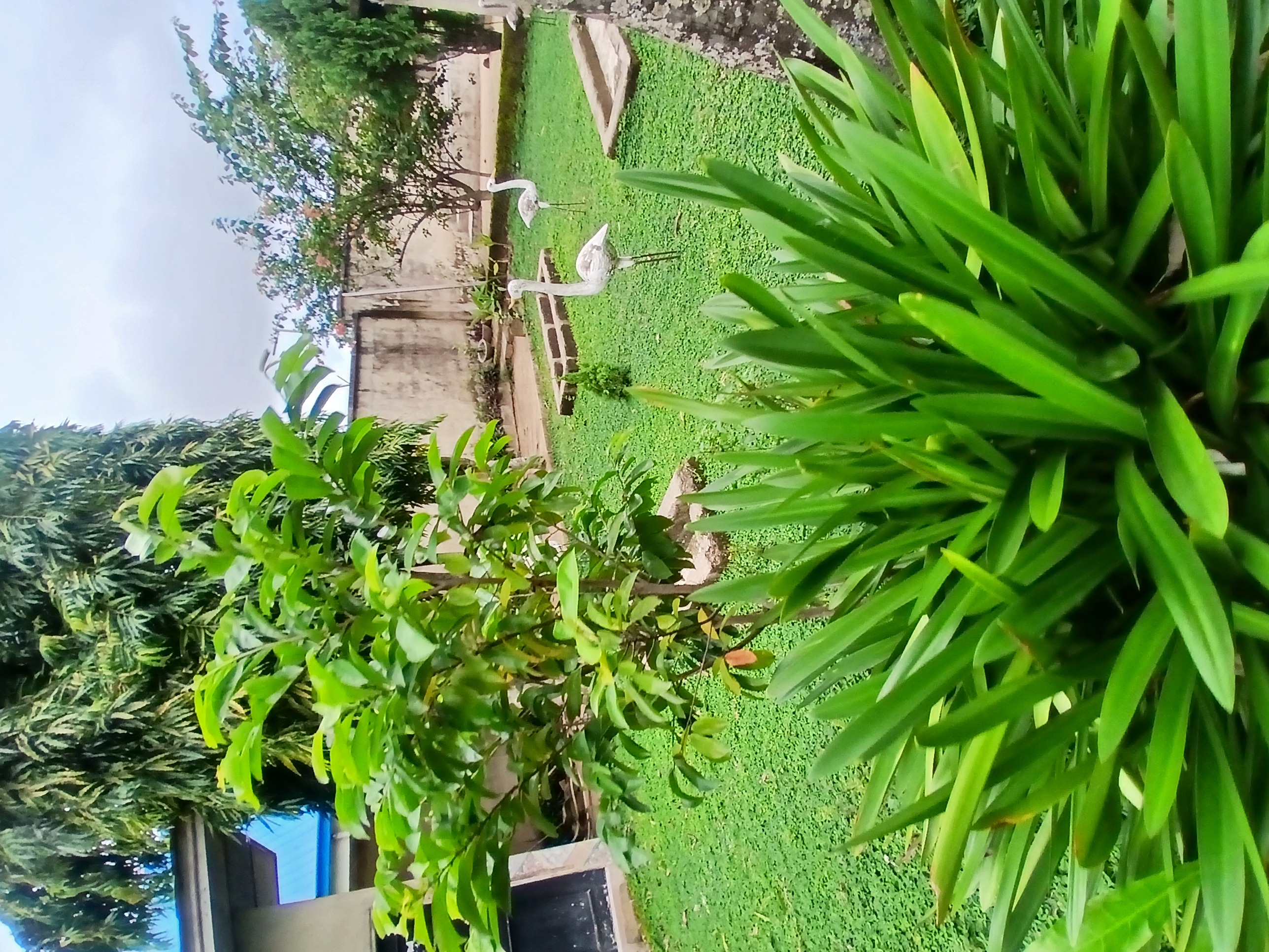 Ethiopia
