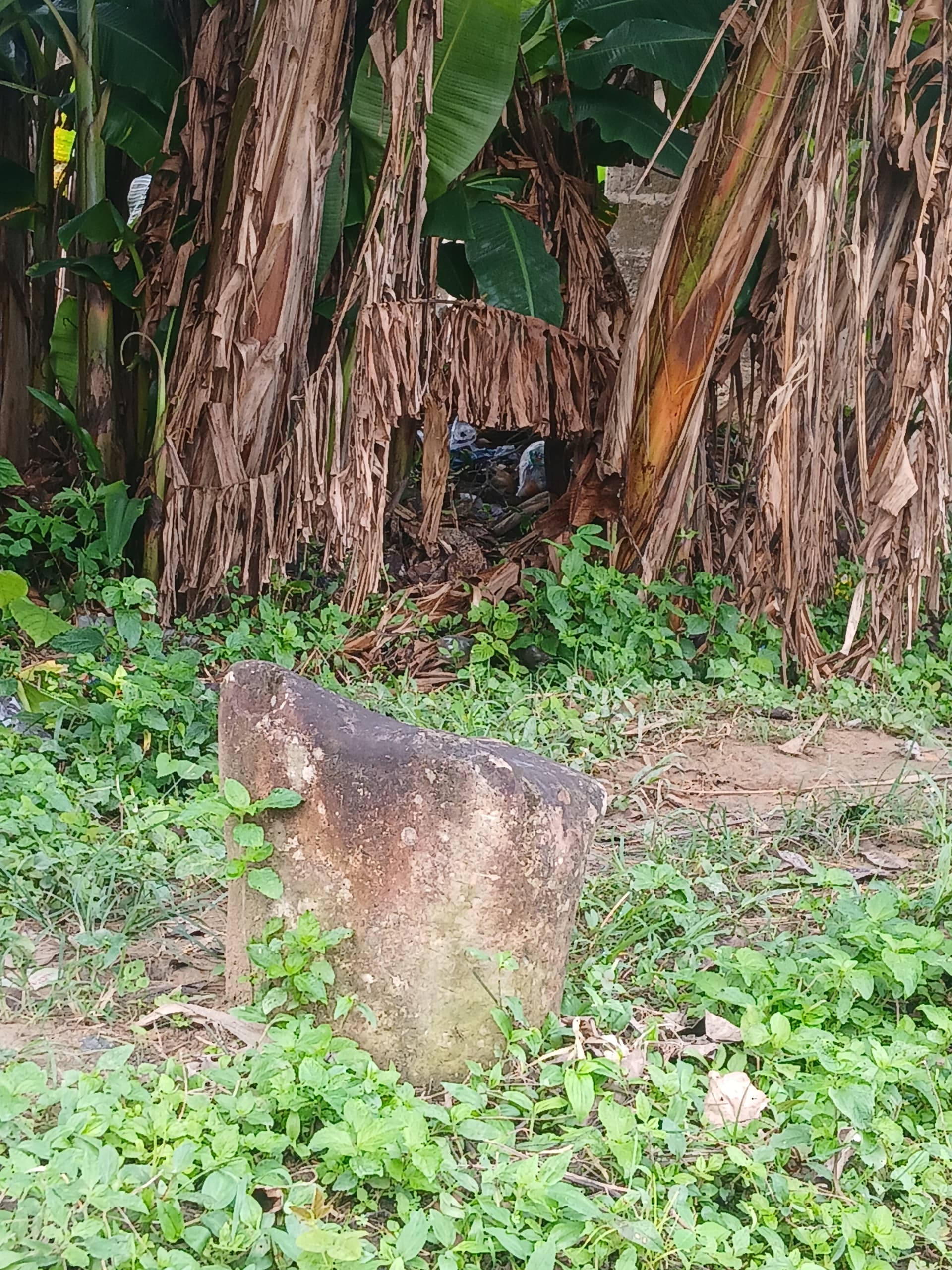 KETABEBE (The standing stone)